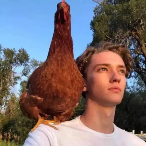 6686体育签约作者Octavia