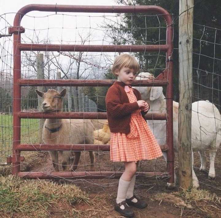 6686体育官方作者Janet