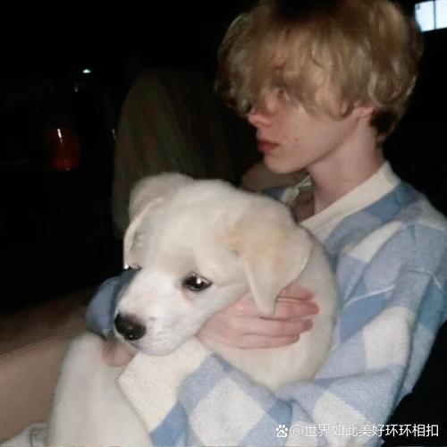 6686体育高级作者Milo